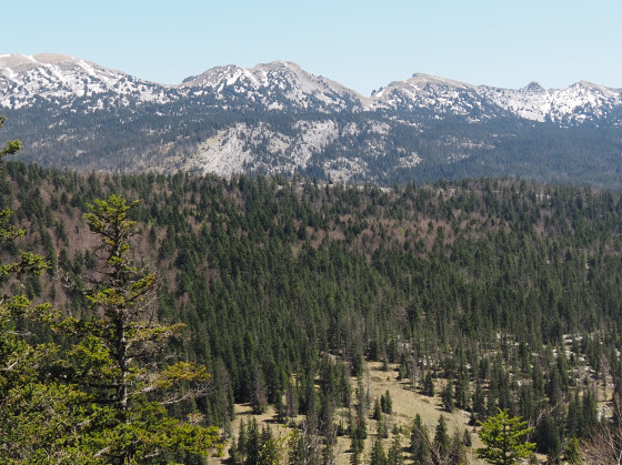 Vue sur la barrière orientale du Vercors