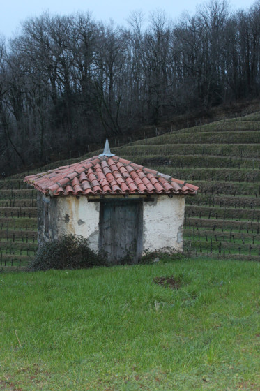 Vue sur la cabane des vignes de Zorzabal