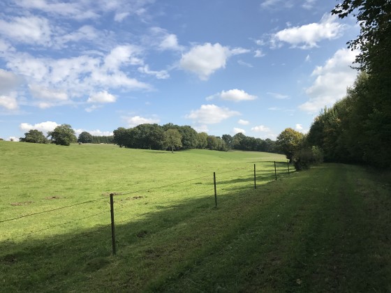 Vue sur la campagne ardennaise