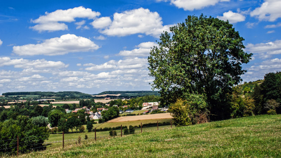 Vue sur la campagne de l'Artois