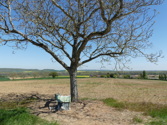 Vue sur la campagne de Luisetaines