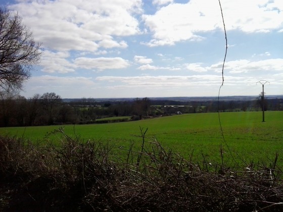 Vue sur la campagne \