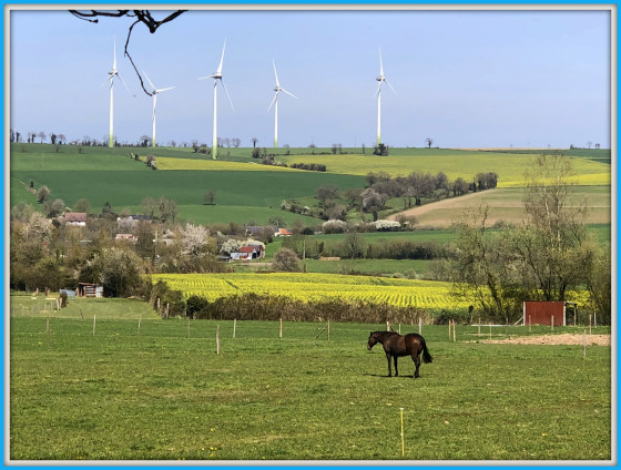 Vue sur la campagne et les éoliennes
