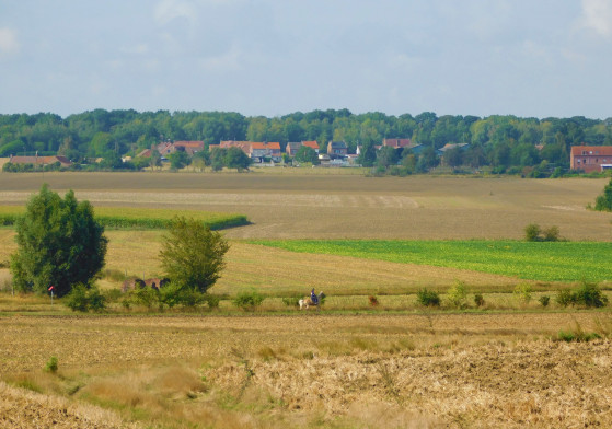 Vue sur la campagne