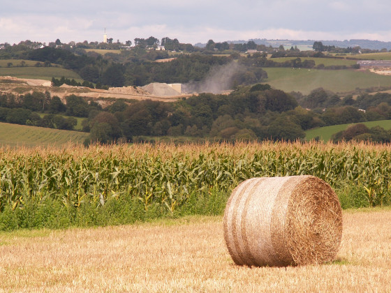 vue sur la campagne