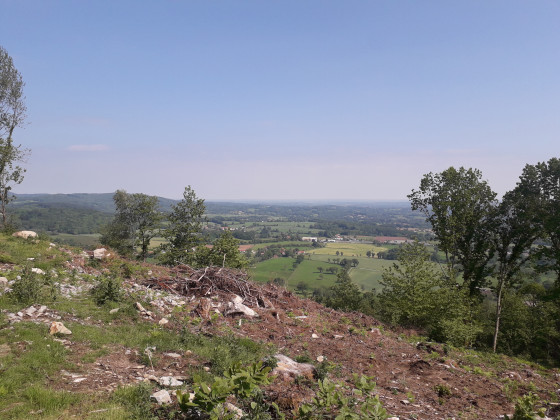 Vue sur la campagne