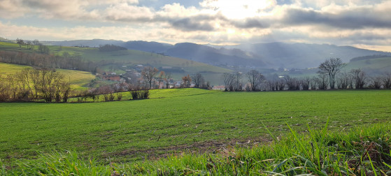 Vue sur la campagne