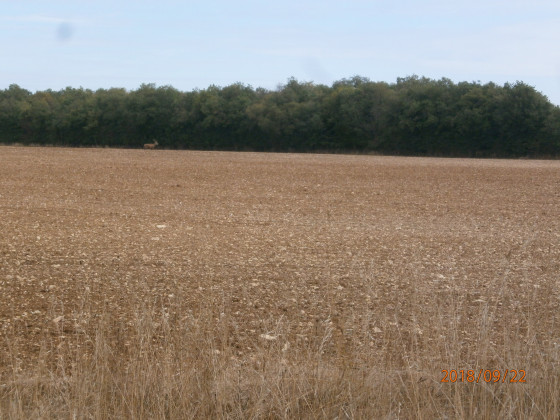 Vue sur la campagne