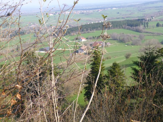 Vue sur la campagne