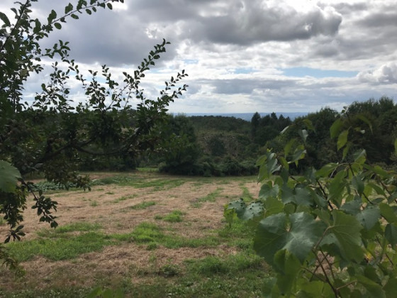Vue sur la campagne
