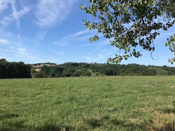Vue sur la campagne
