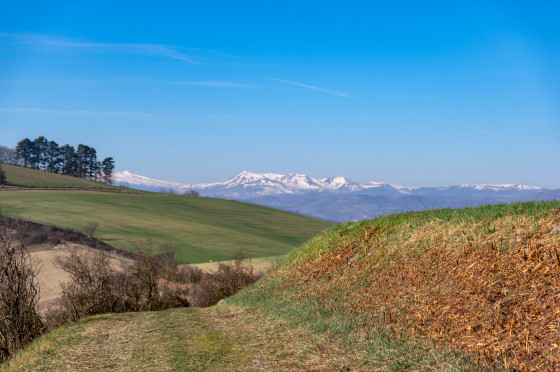 Vue sur la chaine du Sancy.
