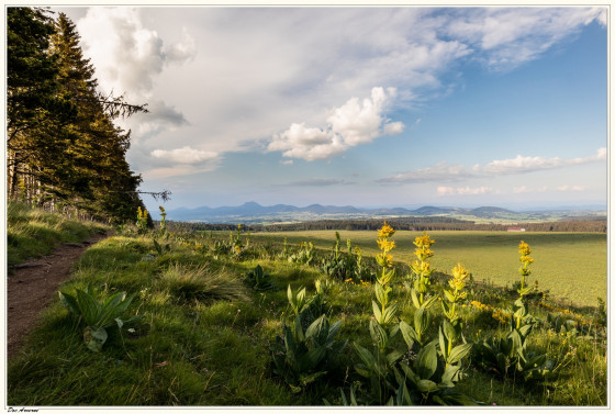 Vue sur la chaînes des puys
