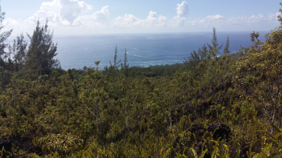 Vue sur la côte sauvage près du Cap Méchant