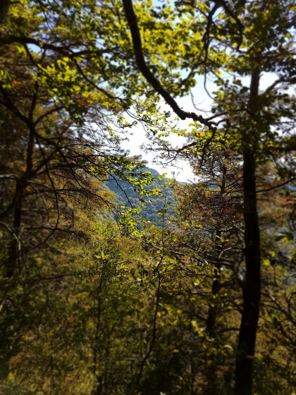 vue sur la crete de peillot lors de la montée