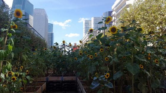 Vue sur la Défense depuis le métro Esplanade de la Défense