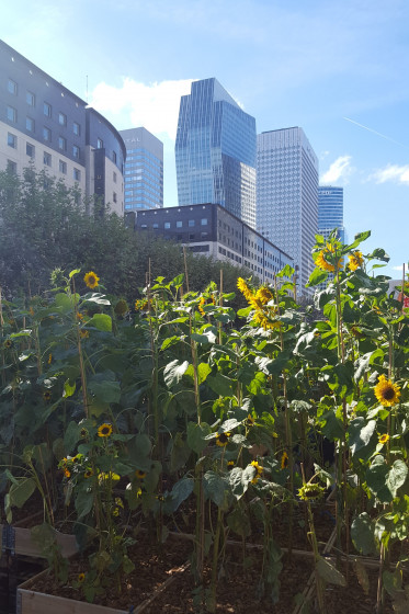 Vue sur la Défense depuis le métro Esplanade de la Défense