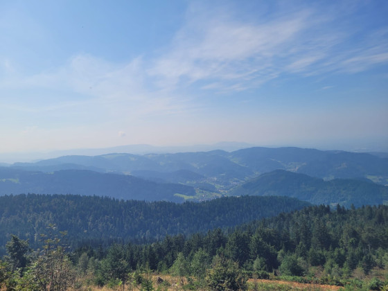 Vue sur la Forêt Noire