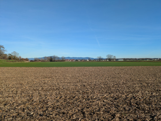Vue sur la Forêt Noire