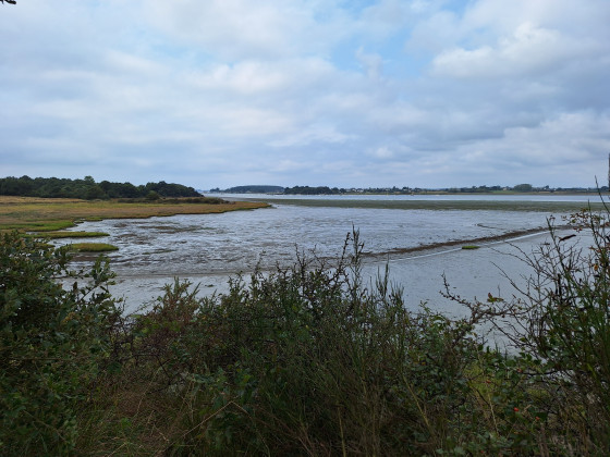 Vue sur la pointe de la Garenne et le chenal St Léonard