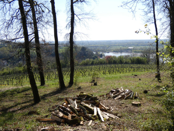 vue sur la Garonne