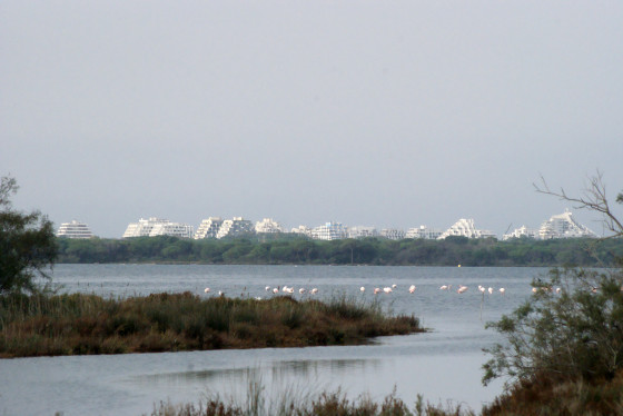 Vue sur la grande motte
