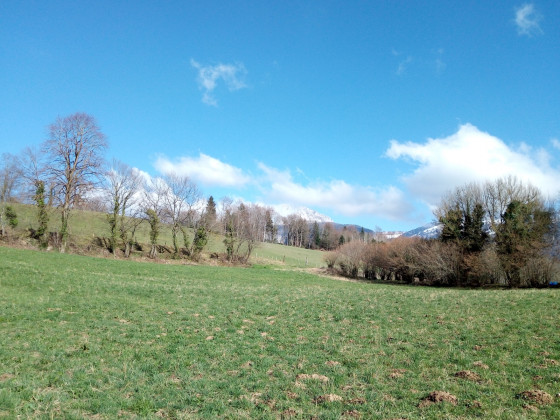 Vue sur la Grande Sure