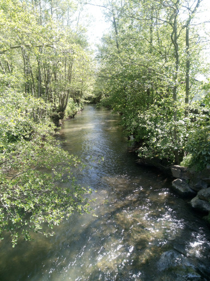 vue sur la lys