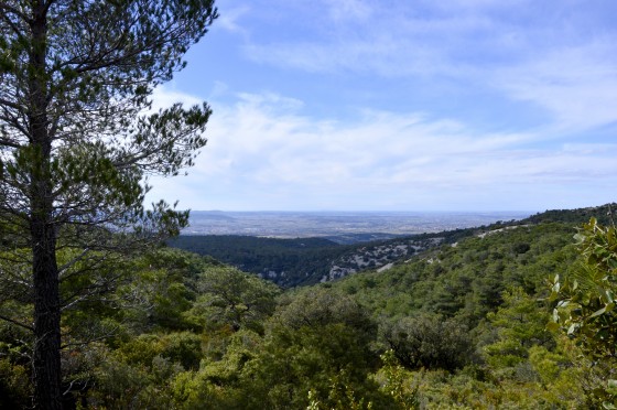 Vue sur la méditerranée depuis le plateau