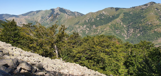 Vue sur la montagne ardéchoise
