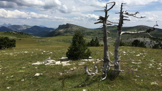 Vue sur la Montagnette à partir de la Tète Chevalière