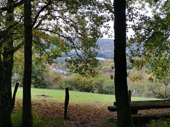 Vue sur la Moselle