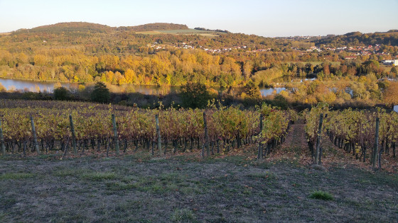 Vue sur la Moselle