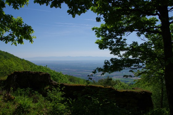 Vue sur la plaine d\'Alsace