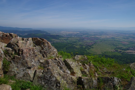 Vue sur la plaine d\'Alsace