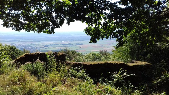 Vue sur la plaine d\'Alsace