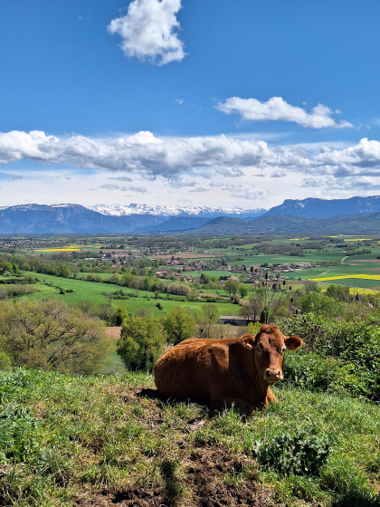 Vue sur la plaine et montagne