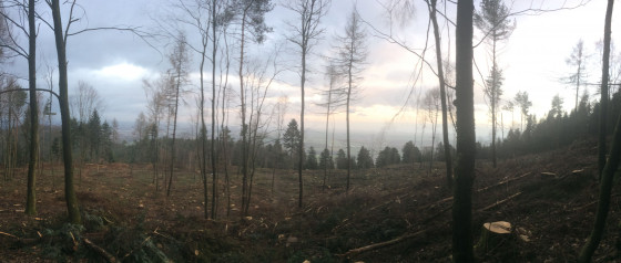 Vue sur la plaine