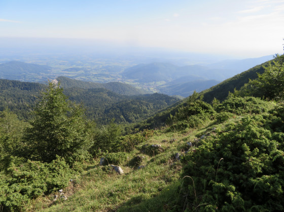 Vue sur la plaine