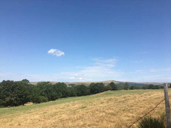Vue sur la planèze. Au loin, le Puy de Bâne