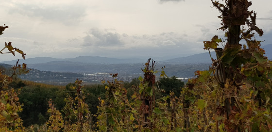 Vue sur la Rhone