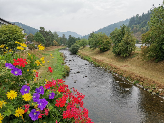 Vue sur la rivière