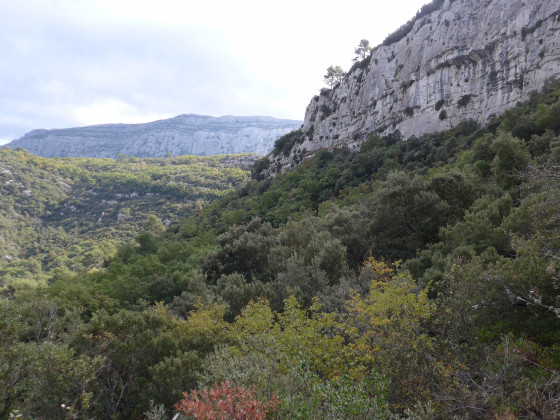 Vue sur la Sainte Baume