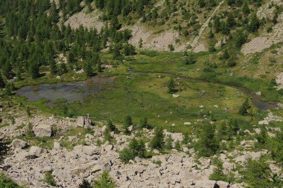 vue sur la tourbiere
