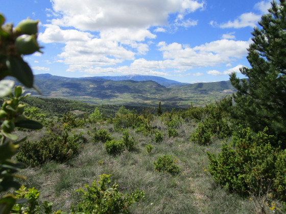 Vue sur la vallé