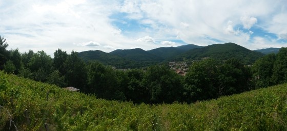 Vue sur la vallée de Buhl à partir du chemin après la rue du Réservoir.