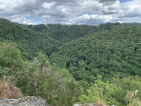 Vue sur la vall&eacute;e de l'Ourthe