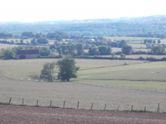 Vue sur la vallée de l'Yonne