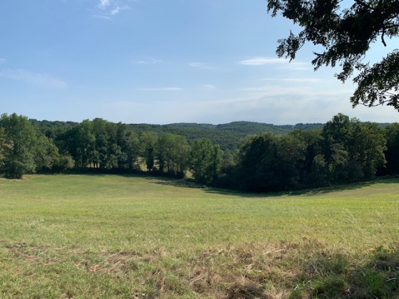Vue sur la vallée de la Beune
