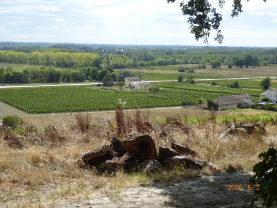 Vue sur la vallée de la Dordogne